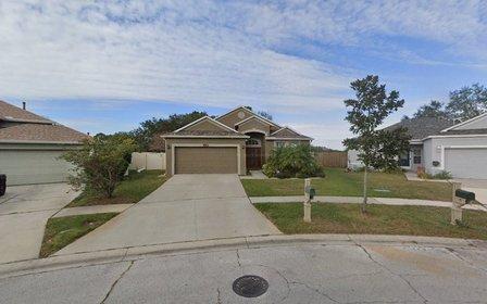813 Construction and Handyman Services