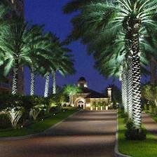 Premier Outdoor Lighting