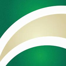 USF Credit Union