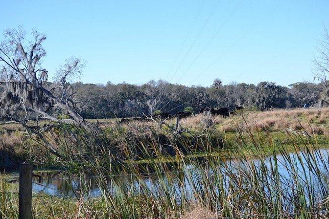 Fire River 4 Ranch