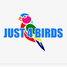 Just4Birds