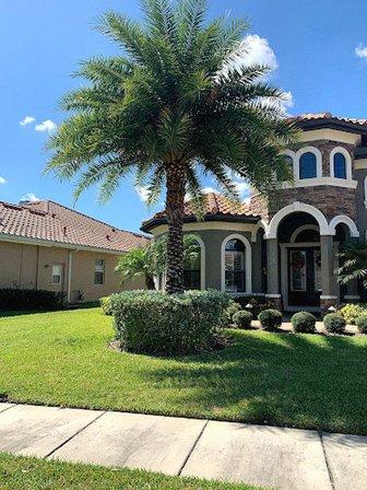 Albert & Ellis Landscaping & Tree Service