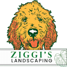 Ziggi's Landscaping LLC