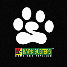 Bark Busters Pinellas County