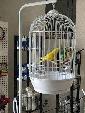 Junior Pet Shop