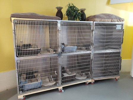 Awe for Pet's Sake Pet Resort