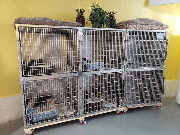 Awe for Pet's Sake Pet Resort