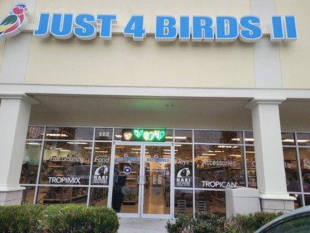 Just4BirdsII