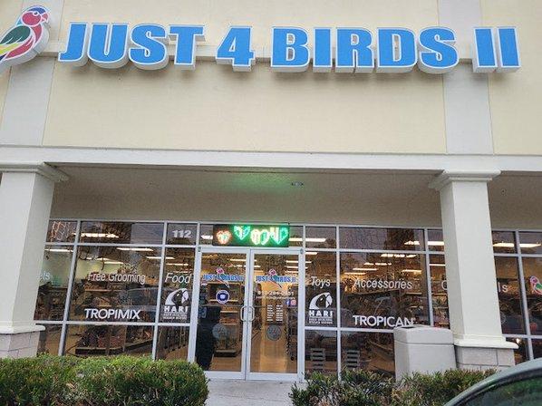 Just4BirdsII