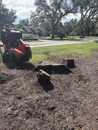 Stump Man Stump Grinding