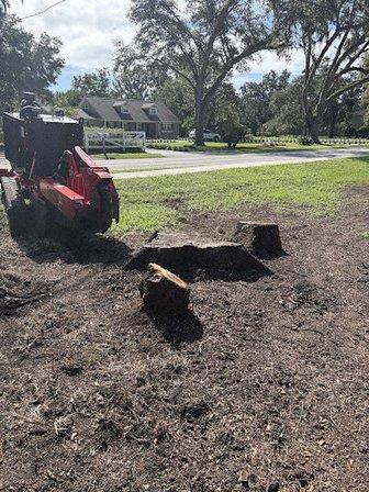 Stump Man Stump Grinding