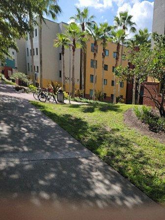 Holly Apartments