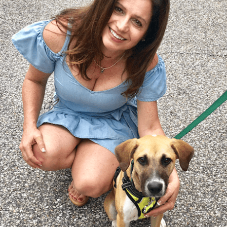 Bark Busters Pinellas County