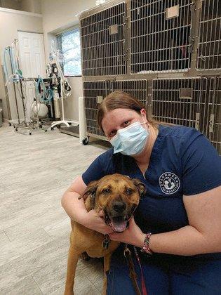 Plummer Pet Hospital
