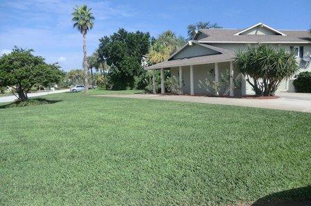 Progreen Pest Control & Lawn