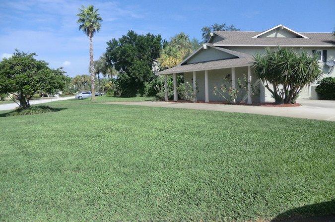 Progreen Pest Control & Lawn