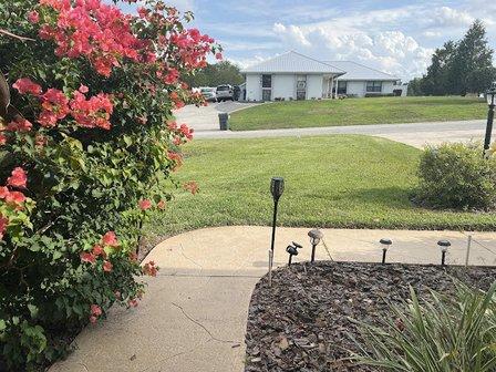 TruGreen Lawn Care