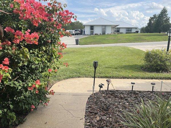 TruGreen Lawn Care