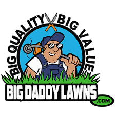 Big Daddy Lawns