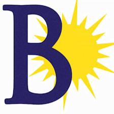 Bay Area Solar Solutions