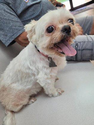 Saddle Creek Veterinary Hospital