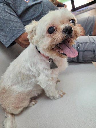 Saddle Creek Veterinary Hospital