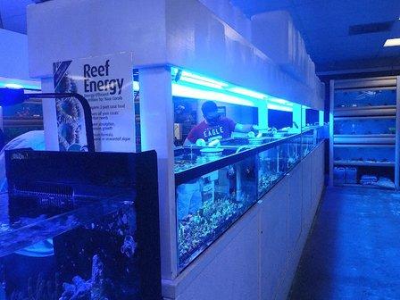 The Aquarium & Fish Store