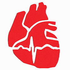 Premier Heart and Vascular Center