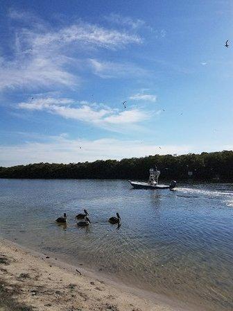 Cockroach Bay Boat Ramp