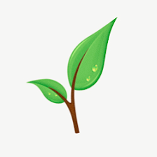 Keep it Green Nursery