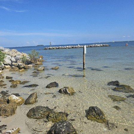 Apollo Beach