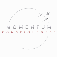 Momentum Consciousness