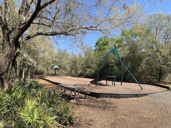 New Tampa Nature Park