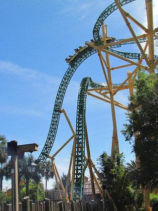 Cheetah Hunt