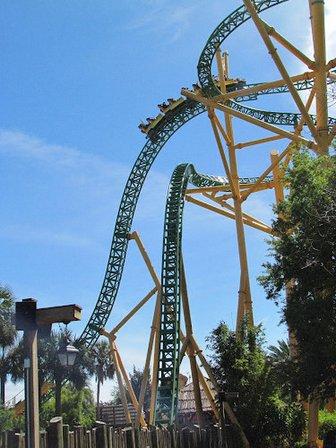 Cheetah Hunt