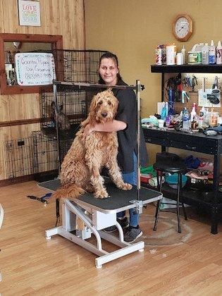 Country Puppy Dog Grooming
