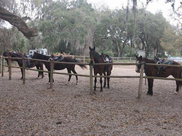 Soquili Stables