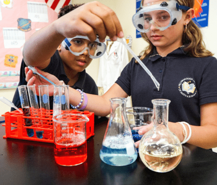 Hillsborough Academy of Math and Science