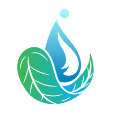 Learning to Achieve Wellness - TMS Therapy & Spravato
