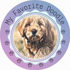 My Favorite Doodle
