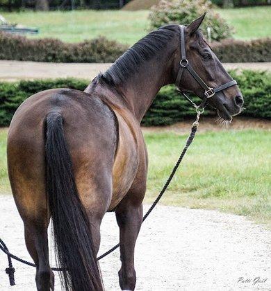 Amber Glen Farm & Equestrian Center