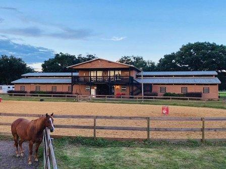 M Performance Horses Boarding & Training Facility