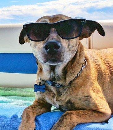 Happy Tails Pet Resort