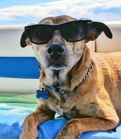 Happy Tails Pet Resort