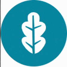 River Oaks Outpatient Treatment