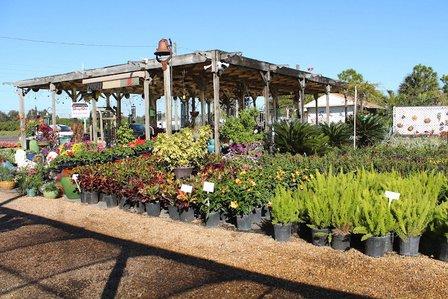 Keep it Green Nursery