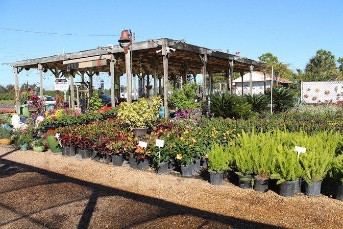 Keep it Green Nursery