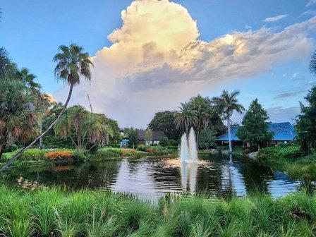 Sarasota Garden Club