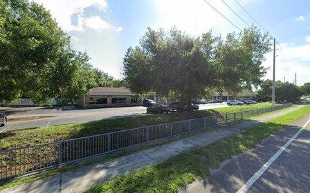 Tampa Bay Counseling Associates Inc