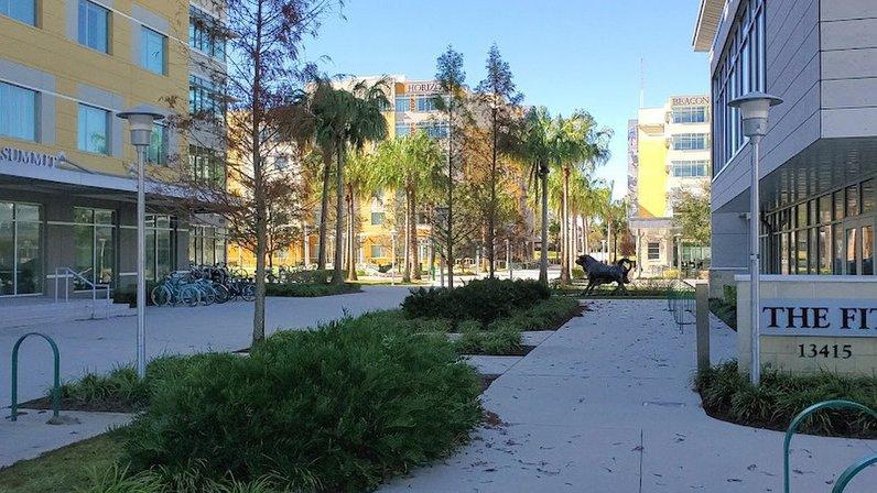 USF Summit Hall